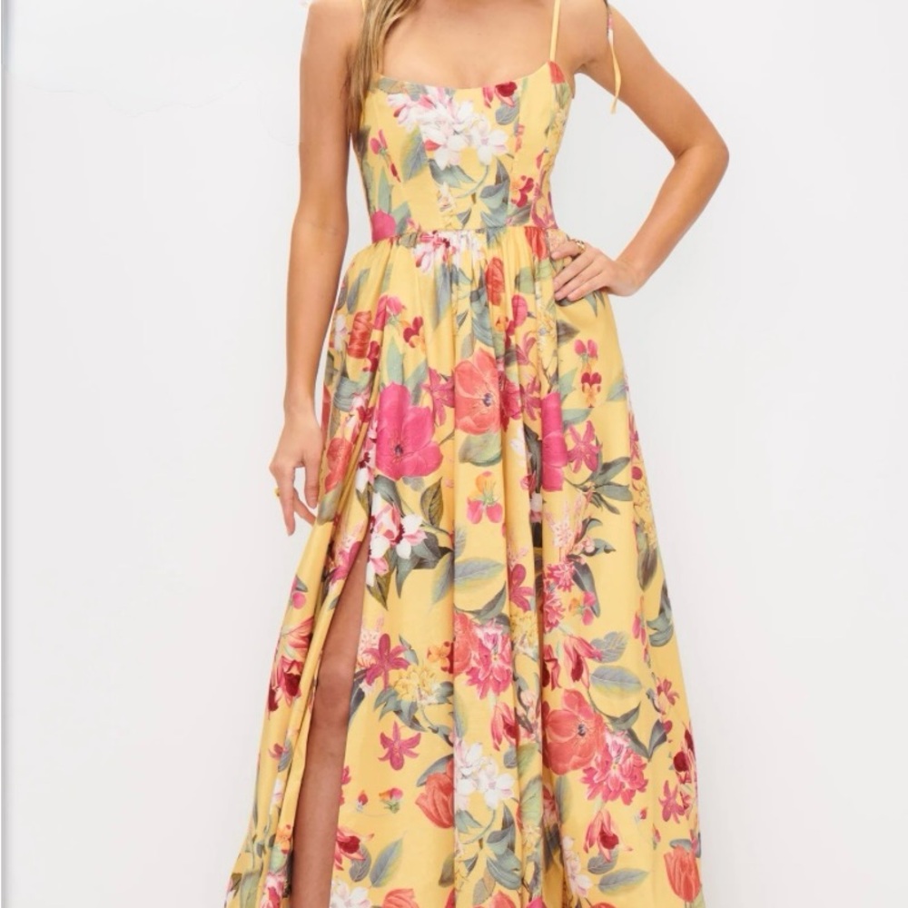 Juliet maxi dress Show Me Your MuMu